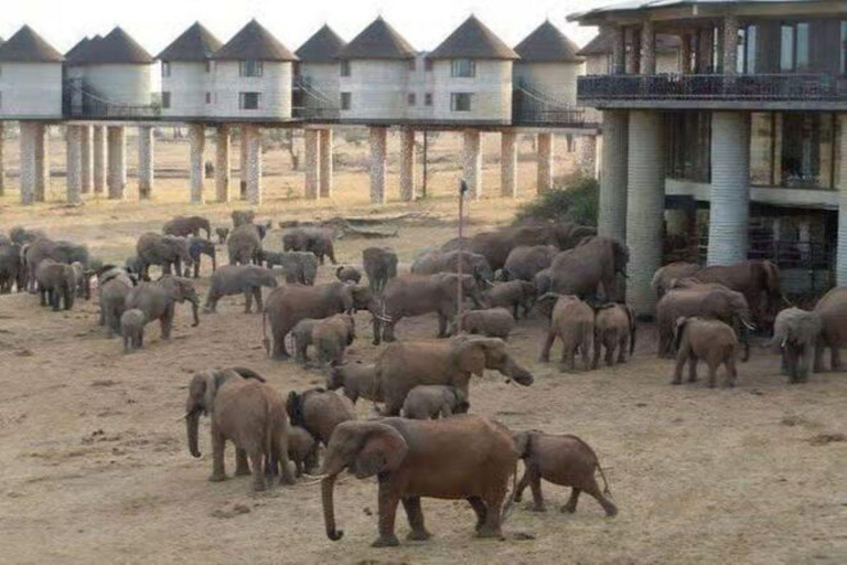 2 days 1 night saltlick safari from Diani/Mombasa.