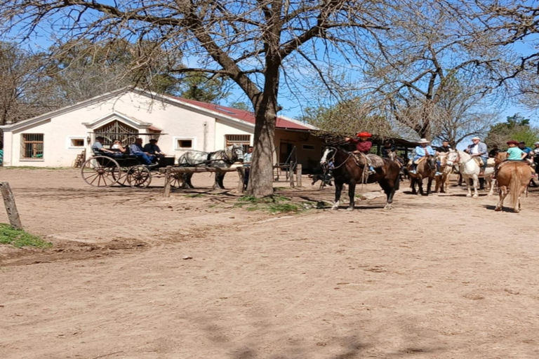 从布宜诺斯艾利斯出发：埃尔翁布德阿雷科（含接送服务）从布宜诺斯艾利斯出发：阿雷科的奥姆布树，含接送服务