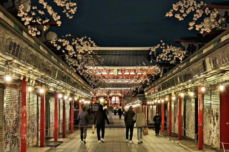 Tokyo Night Private Tour With English Speaking Driver