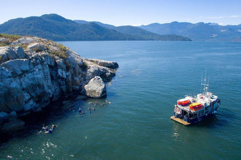 Vancouver: Mergulha de barco em Horseshoe Bay