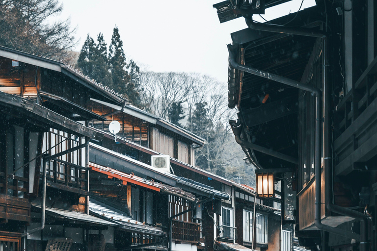 Nagoya: Shirakawa-go & Takayama Guided Day Trip