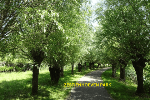 O interior de Roterdã sobre rodas - passeio de bicicleta pela city tour