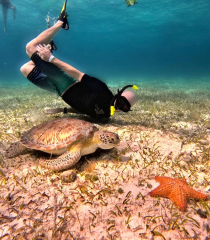 Visit The Cozumel Turtle Sanctuary Snorkel Tour in Cozumel