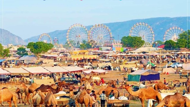 Visit Jodhpur Camel Safari & Sightseeing Tour in Patnem