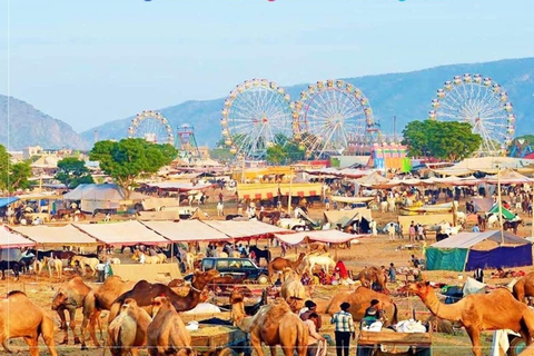 Jodhpur : Safari à dos de chameau et visite touristique