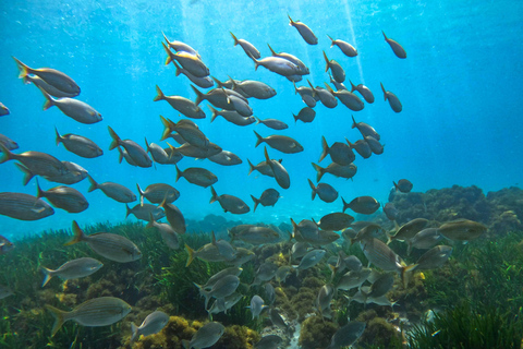 Nerja-Maro: Snorkeling & Sea Scooter Nerja: Maro-Cerro Gordo Boat Tour w Snorkeling & Sea Scooter