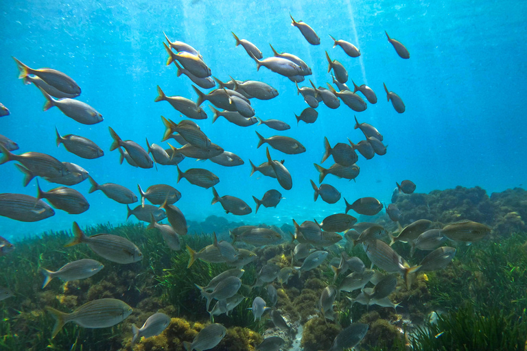 Nerja-Maro: Snorkeling & Sea Scooter Nerja: Maro-Cerro Gordo Boat Tour w Snorkeling & Sea Scooter