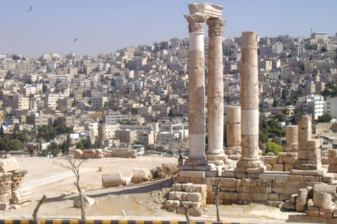 Au départ d'Amman : visite de la ville d'Amman et de la mer Morte (journée complète)Visite d'Amman et de la mer Morte avec billets d'entrée et transport