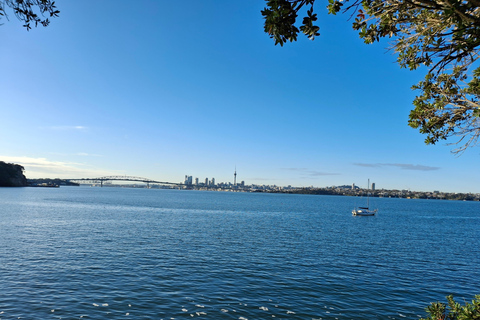 Auckland: Nature, Art, Seaside and Sugar Tour