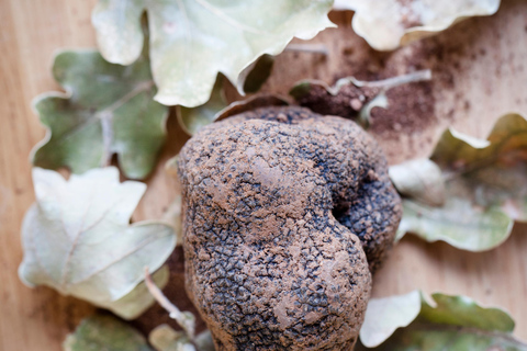 Descubre las trufas de la granja al tenedorDescubre el mundo secreto de las trufas