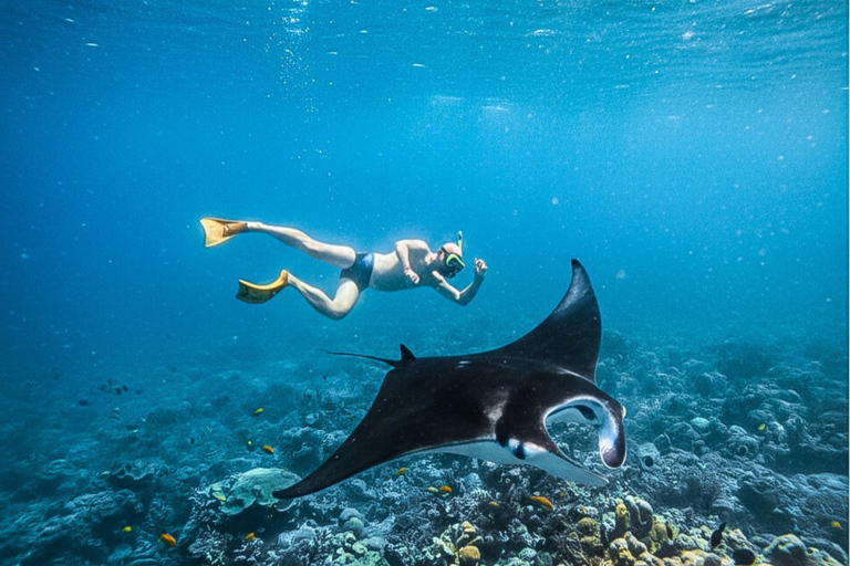 Bali: Nusa Penida Island Tour and Snorkeling Adventure Private Nusa Penida Trip And Snorkeling Adventure
