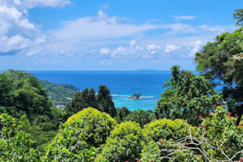 Seychelles: Spice Tour and Shopping Experience