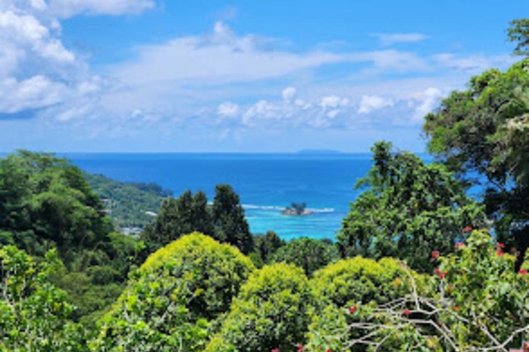 Seychelles: Spice Tour and Shopping Experience