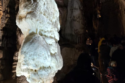 Ljubljana à la grotte de Postojna, au château de Predjama et au parc de Postojna