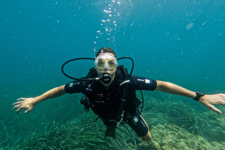 Malta: Discover Scuba Diving in crystal clear waters