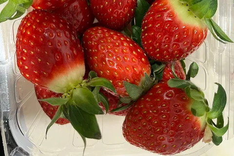 Seoul: Alpaca World, Nami, Eobi and Strawberry Picking Tour