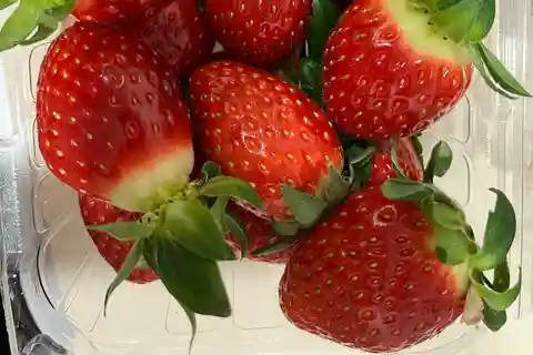 Seúl: El Mundo de la Alpaca, Nami, Eobi y Excursión para Recoger Fresas