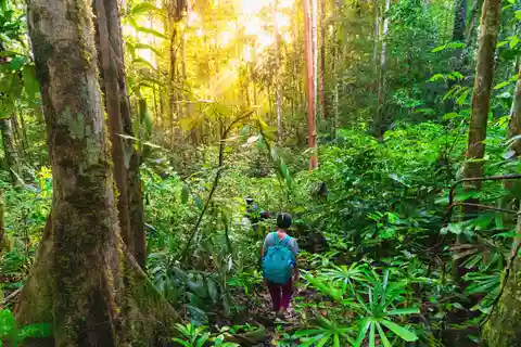 Sumatra: Excursión única de medio día a pie y en balsa con orangutanes