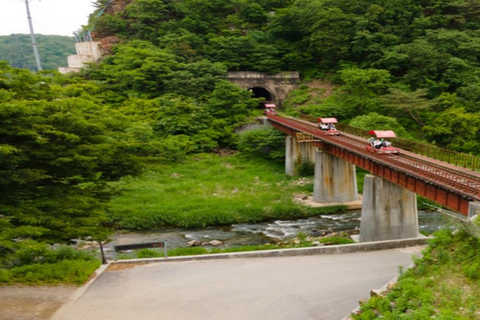 Nami island+Rail Bike+Garden of morning calm_Private Guide