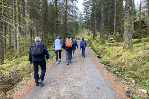 Bergen: Scenic Mountain Hike with Local Guide, Coffee&Snacks Bergen: Scenic Mountain Hike with LocalGuide, Coffee&Snacks