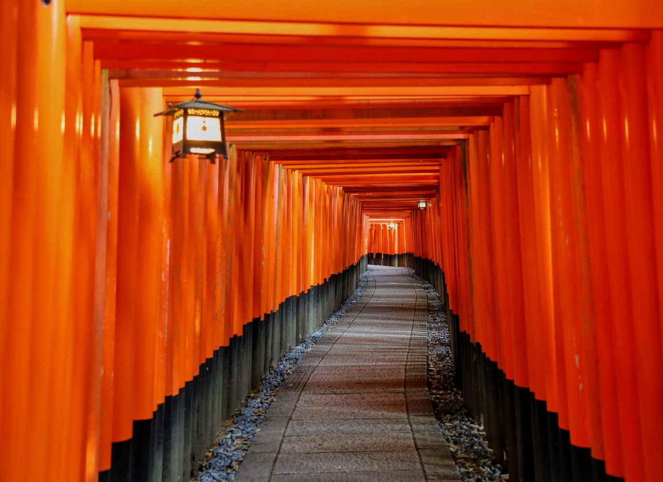 Kyoto: Heldagstur med de bedste UNESCO- og historiske steder