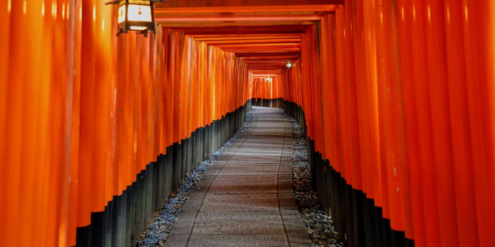 Kyoto experience — temples, geisha, bamboo grove — image 18