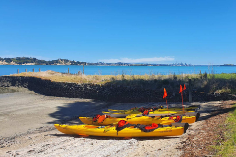 Excursión en Kayak de Mar por la Isla Browns MotukoreaReserva de grupo