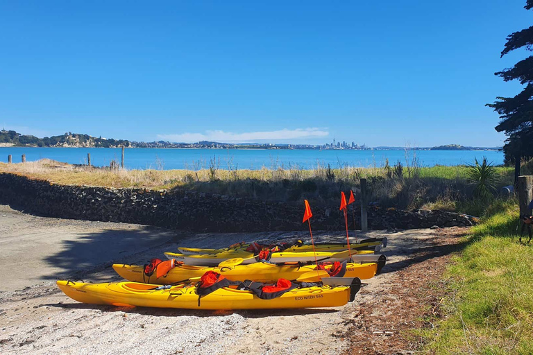 Excursión en Kayak de Mar por la Isla Browns MotukoreaReserva de grupo