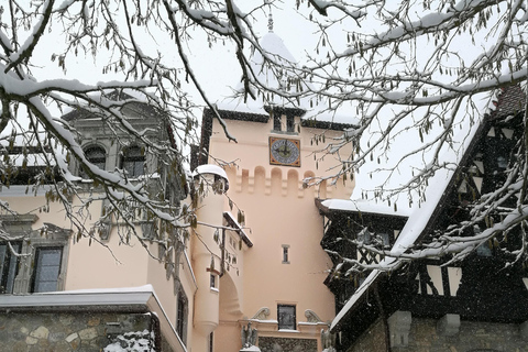 Depuis Bucarest : Excursion d&#039;une journée à Peles et aux châteaux de Bran avec ...Depuis Bucarest : Excursion à Peles et aux châteaux de Bran avec ...