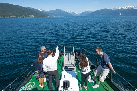 Från Vik: Guidad fjord- och glaciärtur till Fjærland