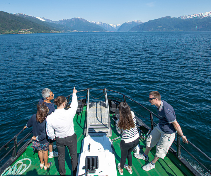 From Vik: Guided Fjord & Glacier Tour to Fjærland