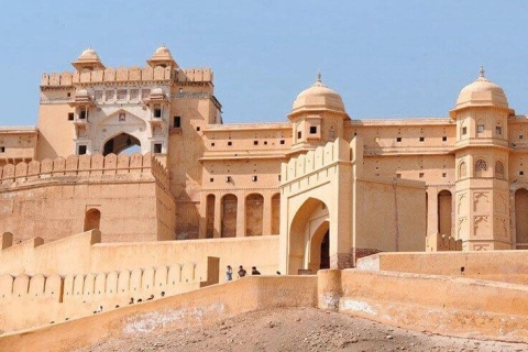 Visite d'une demi-journée de Jaipur Fort Amer, Jal Mahal et StepwellVisite privée d'une demi-journée à Jaipur Fort Amer, Jal Mahal et Stepwell