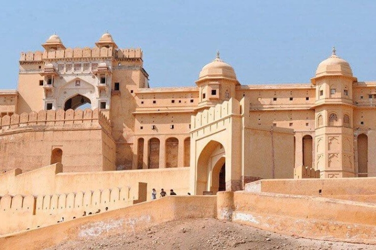 Visite d'une demi-journée de Jaipur Fort Amer, Jal Mahal et StepwellVisite privée d'une demi-journée à Jaipur Fort Amer, Jal Mahal et Stepwell