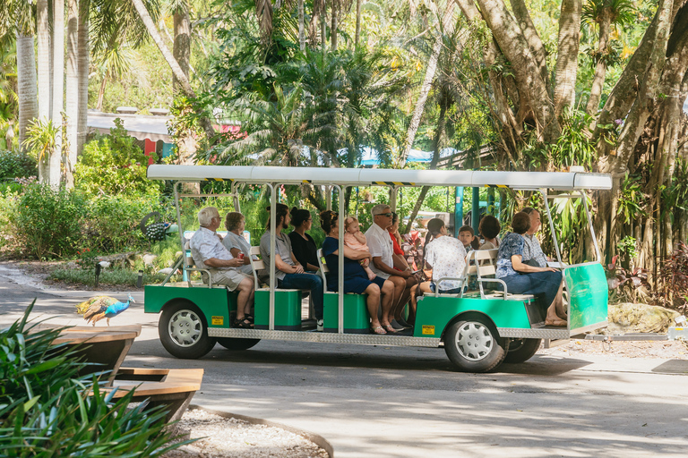 Fort Lauderdale: Flamingo Gardens Entry Ticket