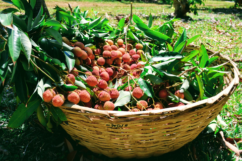 Maurice aventureuse : voyage privé avec hôtel et activités