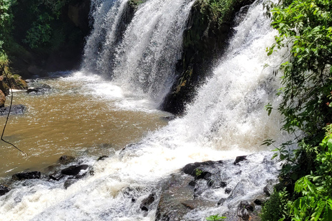 Iguazu Extreme Day: Sunrise, São João Trail & Macuco Safari