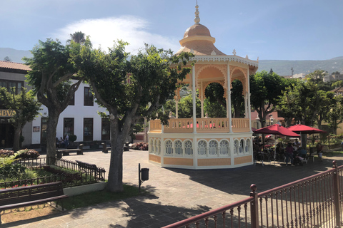 Tenerife: Vuelta completa a la isla con MascaRecorrido desde la Zona Sur