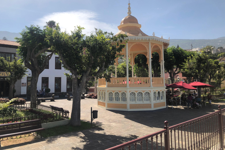 Tenerife: Complete eilandtour met MascaTour vanuit het zuiden