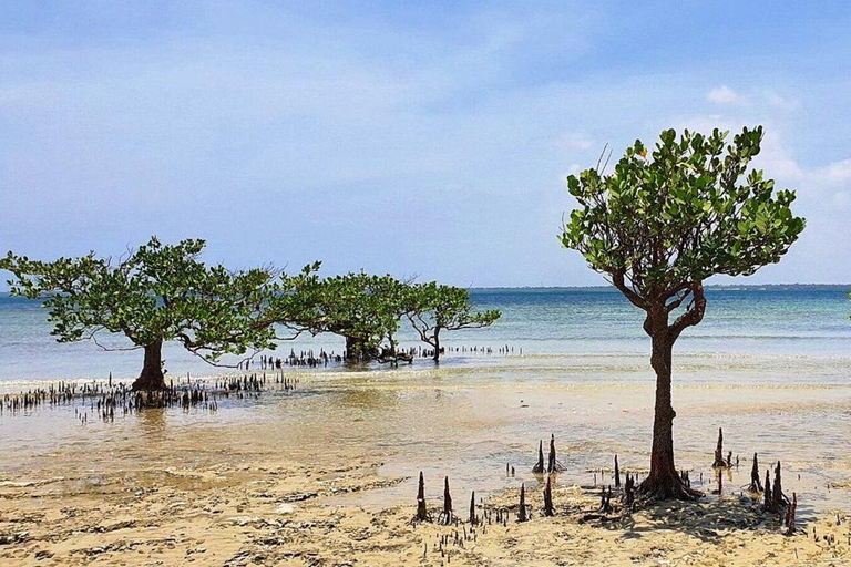 Diani: Passeio de um dia à Ilha Funzi com almoço e passeio de barcoDiani: passeio de um dia à ilha Funzi com almoço e passeio de barco