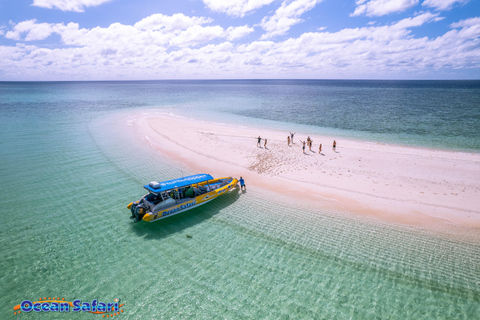 Cairns/Port Douglas: Overnight Rainforest to Reef Experience Daintree Overnight Rainforest & Reef - Private Double/Twin