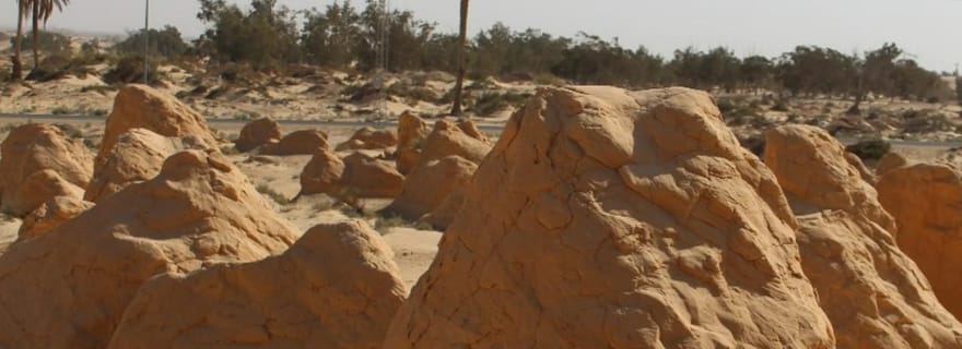 De Tozeur 2 jours à Ksar Ghilaine (Nuit sous la tente)