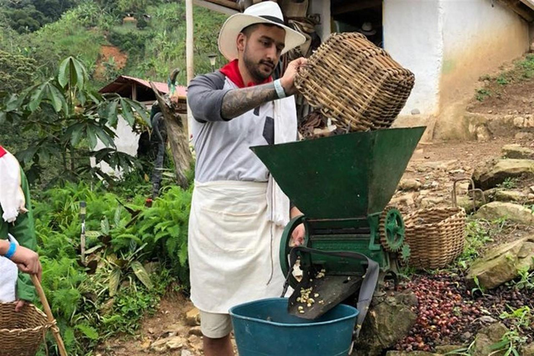 Depuis Medellin : Circuit de 3 jours sur la route du café colonial