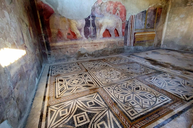 Explore Entire Pompeii & Herculaneum (AR Tour) from Rome