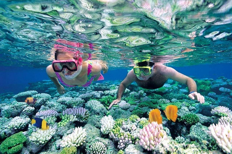 Full-Day Cham Island Snorkeling & Beach Escape from Hoi An