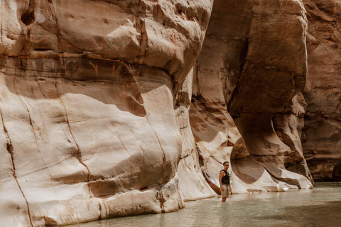 Da Amman: Tour di un giorno con il Mar Morto e il sentiero di Wadi MujibTour con solo trasporto