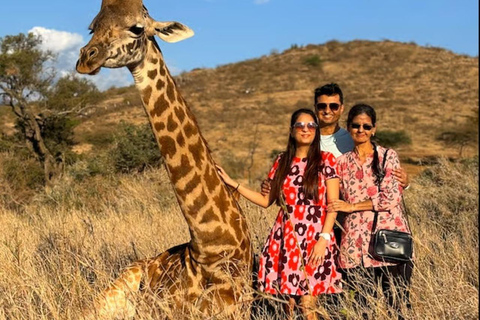 Serval Wildlife : Day Wildlife Tour With Animals Encounters