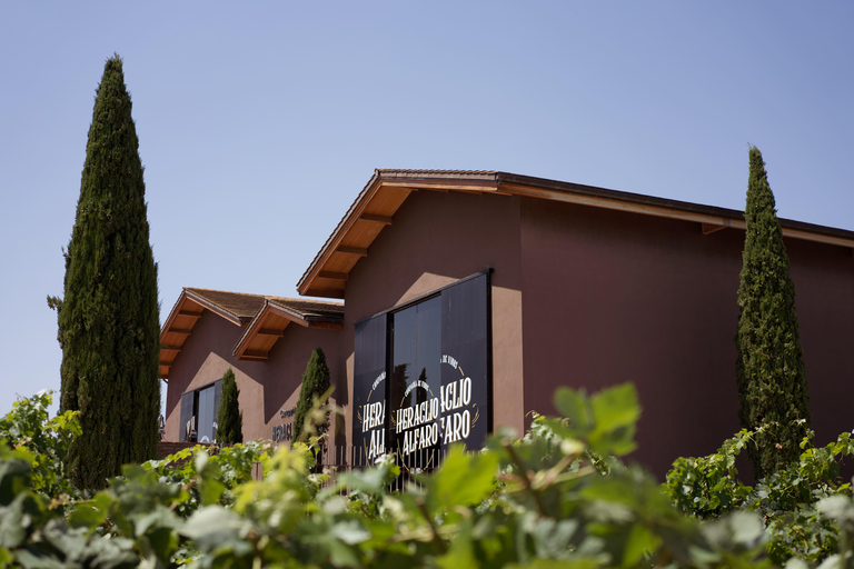 Découvrez La Rioja : visite guidée des vignobles et dégustation de vins