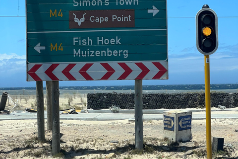 Cape of Good Hope, Chapman's Peak Drive, Penguins , Seals