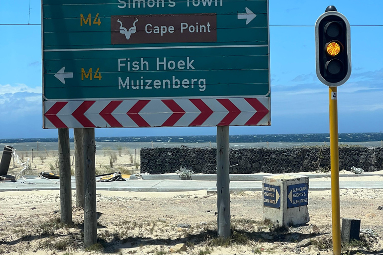Cape of Good Hope, Chapman's Peak Drive, Penguins , Seals