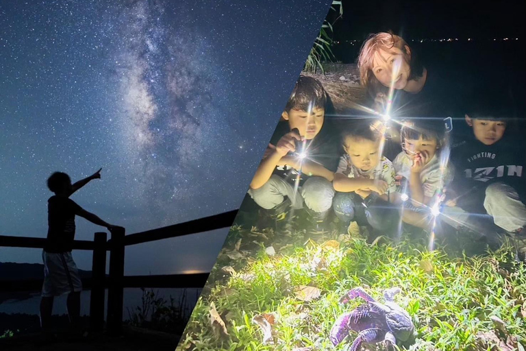 Yonaguni Island: Stargazing and Jungle Night Tour